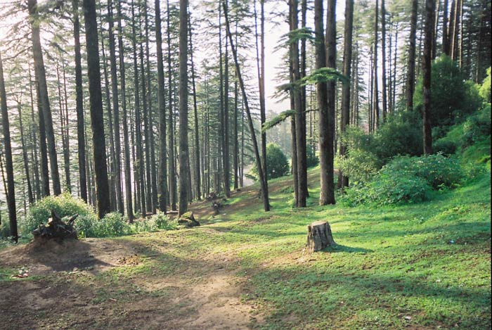 Golden Triangle of India 