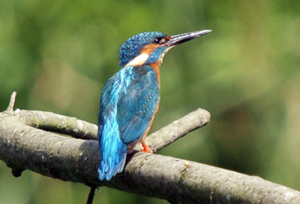 Golden Triangle of India 