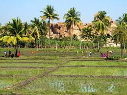 Golden Triangle of India 